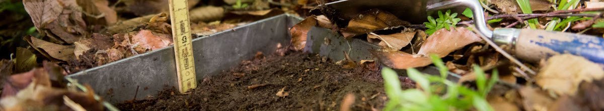Mit einem quadratischen Rahmen ist ein Stück Waldboden eingefasst; mit einem Meterstab wird die Höhe des Humuses gemessen