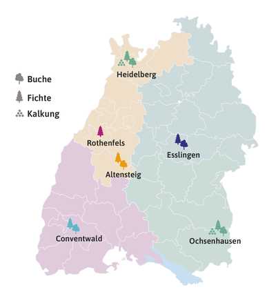 Abb. 2: Die Daten reichen bis zu 30 Jahre zurück und stammen von den Intensiv-Umweltmonitoringflächen der FVA, verteilt auf sechs Standorte in Baden-Württemberg.