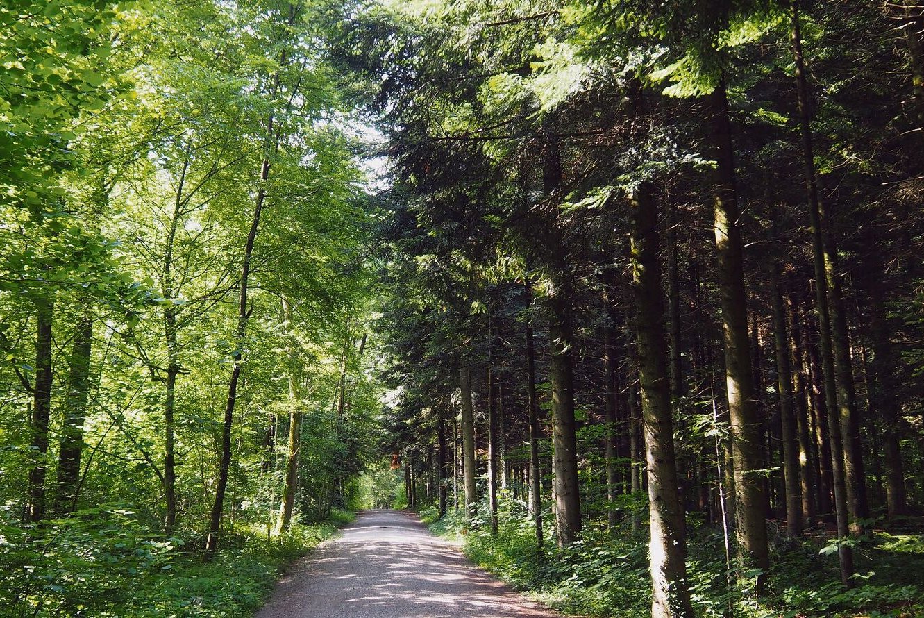 Waldlabor Zürich
