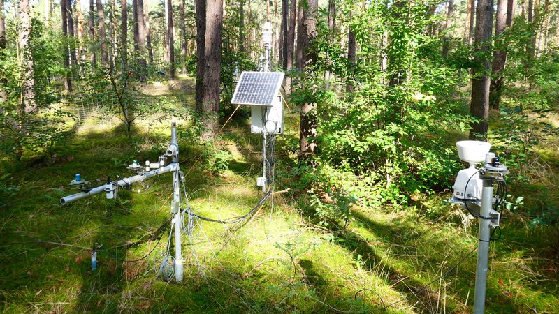 Waldmessstation zur Untersuchung von Boden-Moos-Interaktionen unter Waldkiefern in Märkisch Luch, Brandenburg