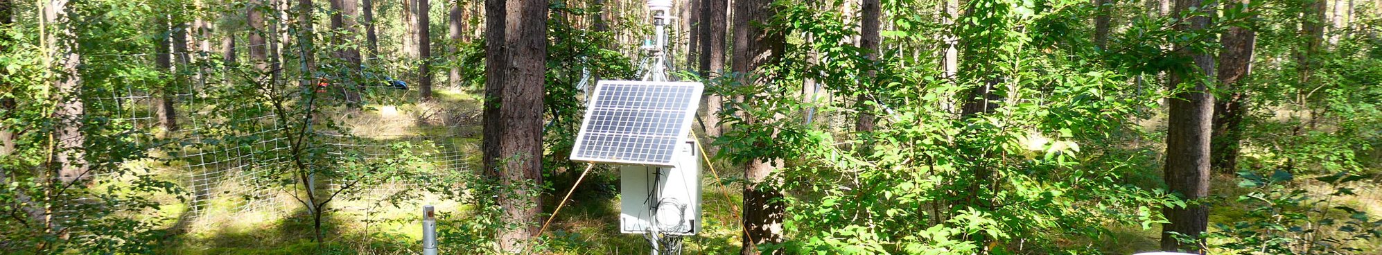 Waldmessstation zur Untersuchung von Boden-Moos-Interaktionen unter Waldkiefern in Märkisch Luch, Brandenburg.
