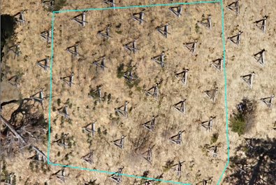UAV aerial image of a densely grass-covered rehabilitation area