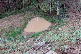 Rohrdurchlässe: Wasser sicher unter Waldwegen ableiten