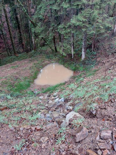 Versickerungsmulde am Auslauf eines Rohrdurchlasses zur Rückhaltung und Versickerung des abgeleiteten Wassers.