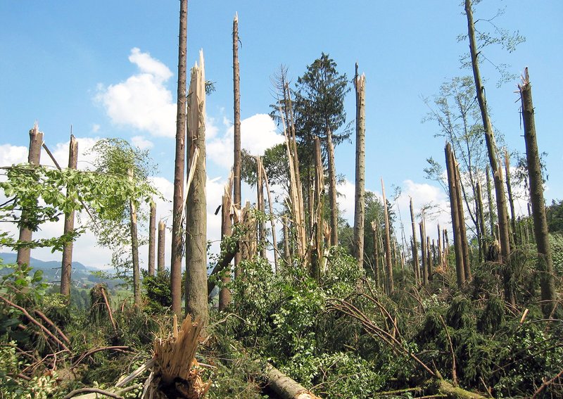 Sturmschaden Sturmschaden