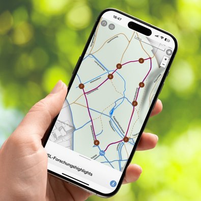 Handy mit Waldlabor-App