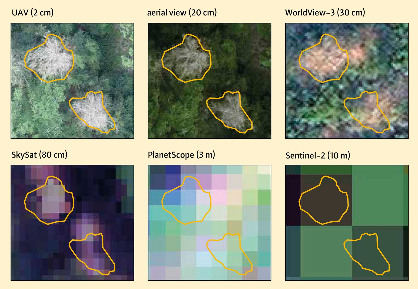 Damage assessment using remote sensing and AI methods - waldwissen.net