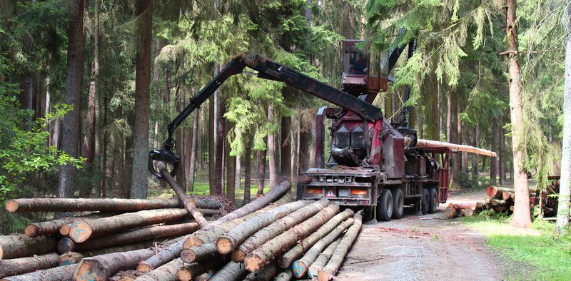 large mobile machine debarks coniferous logs