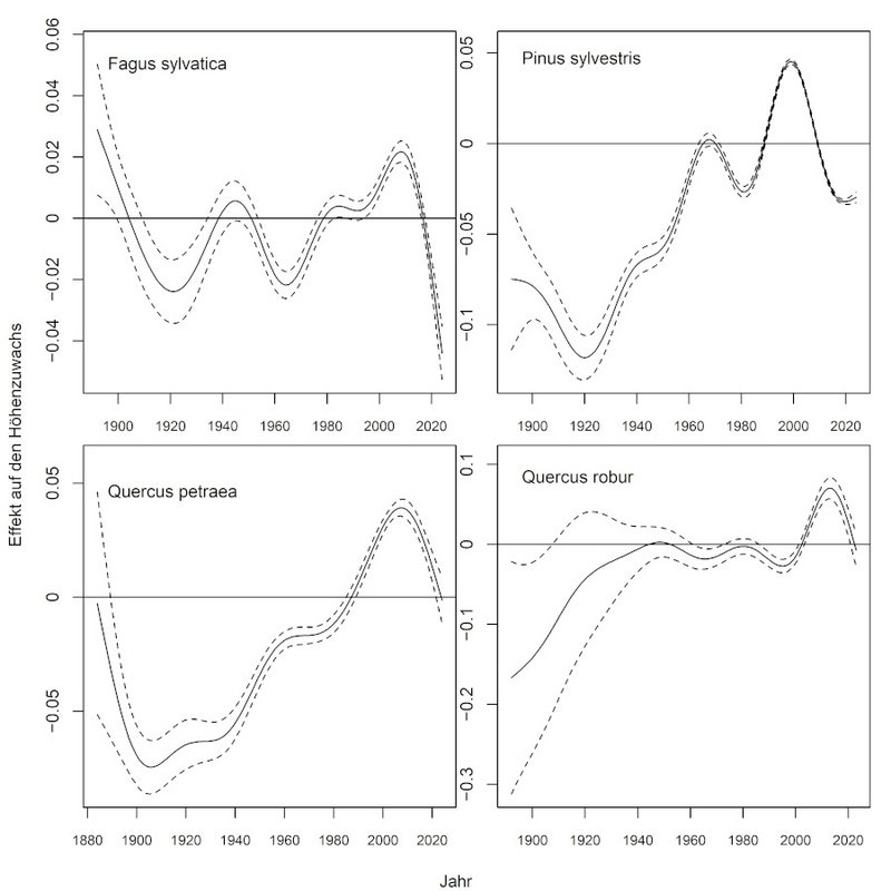 Effekt des Kalenderjahres auf den Höhenzuwachs