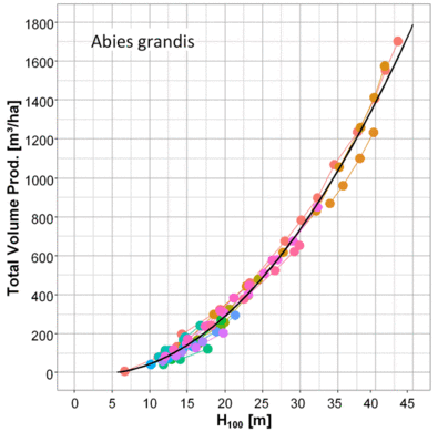 Total volume production versus top height of Abies grandis.