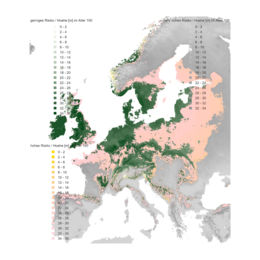 Verbreitung der Rotbuche und Hainbuche 2071-2100 RCP 4.5