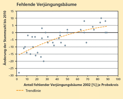 fehlende Verjüngungsbäume