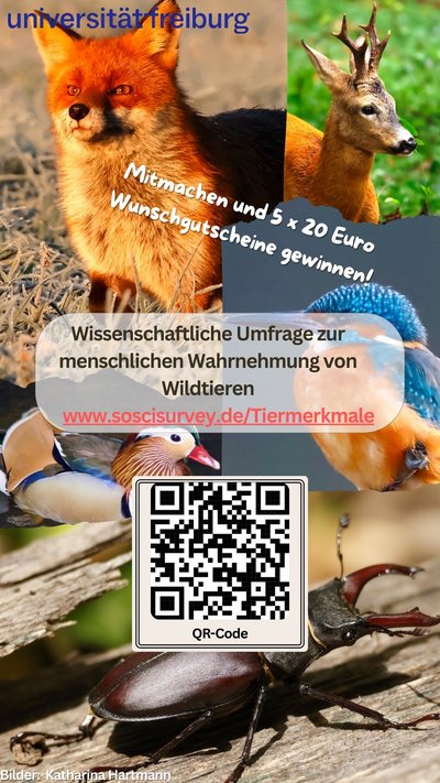 Online-Befragung: Wie wirken auffällige Merkmale von Wildtieren auf Sie?
