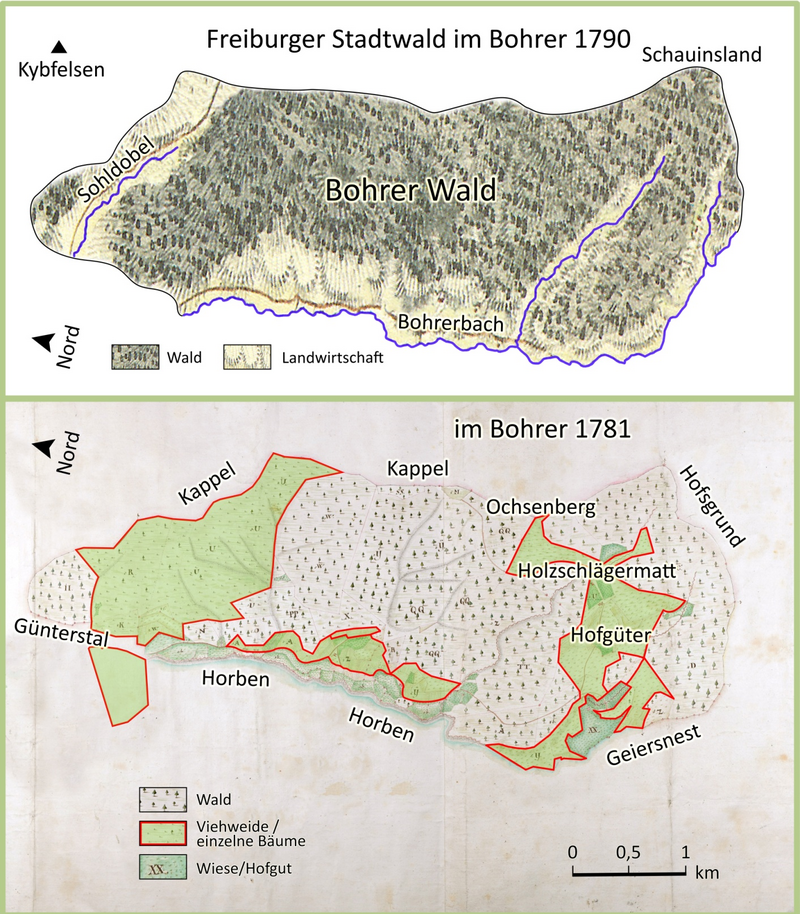 Der historische Bohrerwald von Freiburg. Ausschnitt aus der Schmitt’schen Karte von 1797; forstrechtliche Abgrenzung „Wald“ (oben). Intensität und Struktur der Landnutzung 1781; tatsächliche Wald-Feld-Verhältnisse (unten).