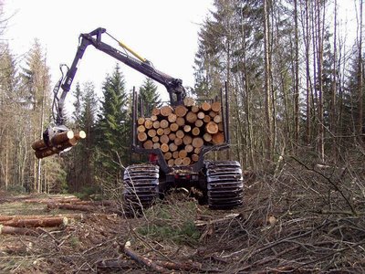 Rückezug mit Bogiebändern auf Nassboden-Standort