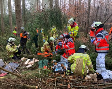 mehrere Rettungskräfte mitten im Wald bei der Bergung eines Verletzten
