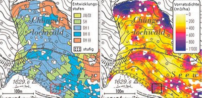 Karten Entwicklungsstufen und Vorratsdichte