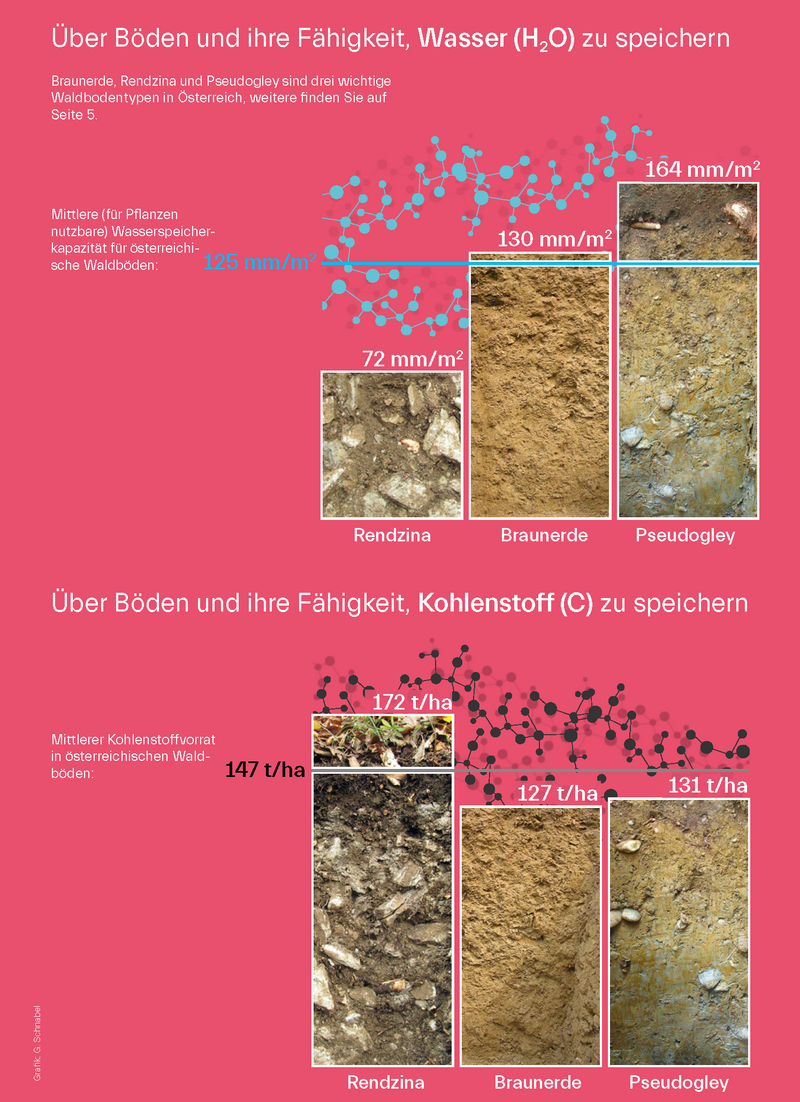 Grafiken über Speicherfähigkeiten des Bodens