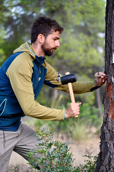 Antoine Cabon mit einem Hammer in der Hand entnimmt eine Holzprobe von einm Baum