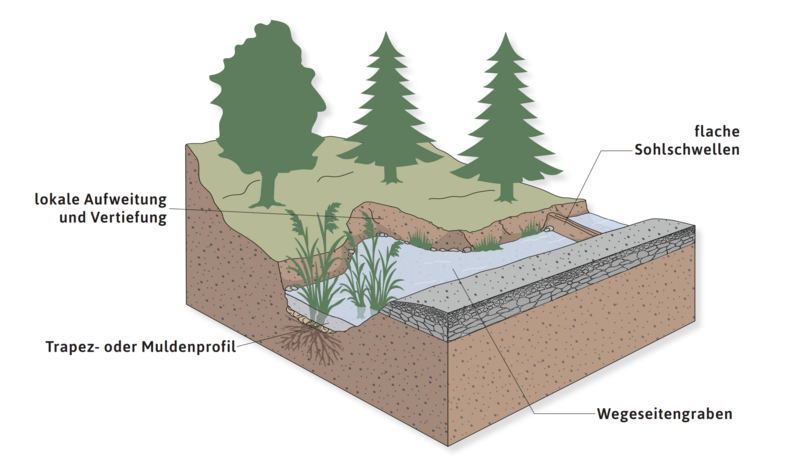 Schematische Darstellung abflussbremsender Strukturen in Wegeseitengräben: Lokale Aufweitungen und Vertiefungen, flache Sohlschwellen sowie Trapez- oder Muldenprofile verlangsamen den Wasserabfluss.
