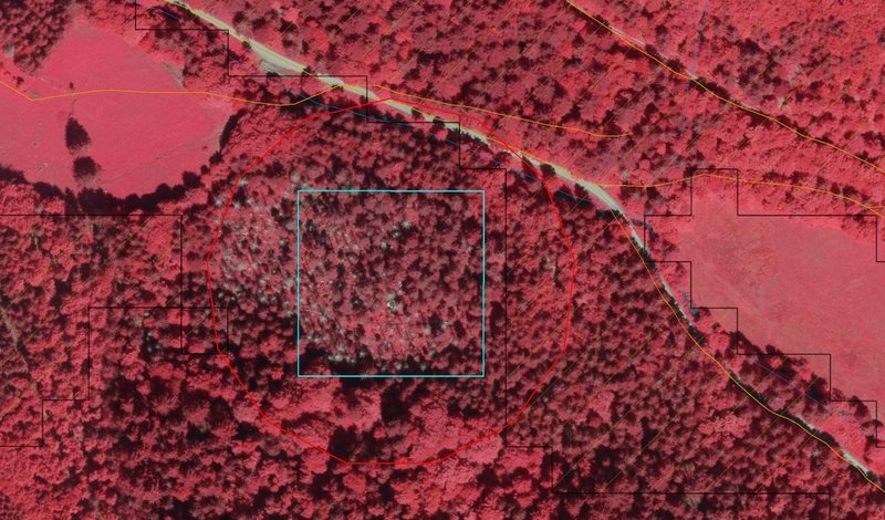 Mit Hilfe von Luftbildern können Wissenschaftlerinnen und Wissenschaftler der FVA Waldstrukturen über große Flächen hinweg erkennen und zuordnen.