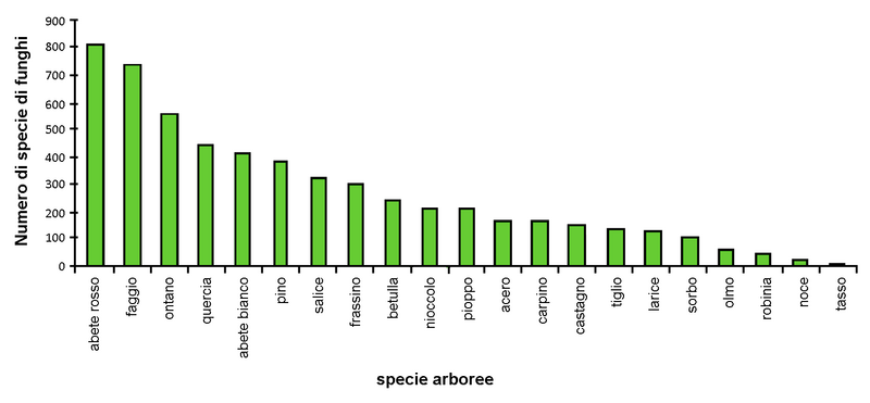 Numero di specie fungine ospitate per le diverse specie arborea