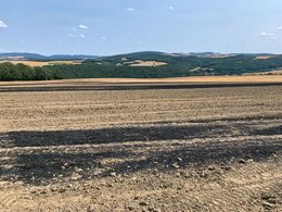 Flurbrände durch Funkenflug gelten als häufige Ausgangspunkte für Waldbrände, insbesondere an trockenen Waldrändern.