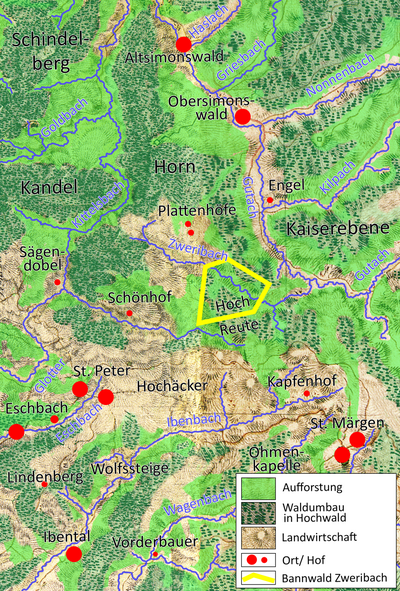 Waldaufbau von 1790 bis 2020. Lichte Weidewälder wurden zu Hochwäldern, landwirtschaftliche Flächen aufgeforstet. Der Waldanteil stieg von 28 auf 80 Prozent.