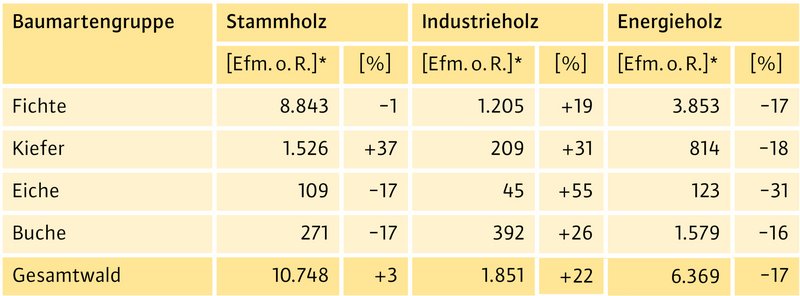 abelle zum Holzeinschlag 2025 nach Baumartengruppe und Sortiment. Dargestellt sind die Einschlagmengen von Stammholz, Industrieholz und Energieholz für Fichte, Kiefer, Eiche und Buche sowie die prozentuale Veränderung gegenüber dem Vorjahr.