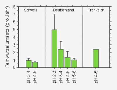 Jährlicher Feinwurzelumsatz