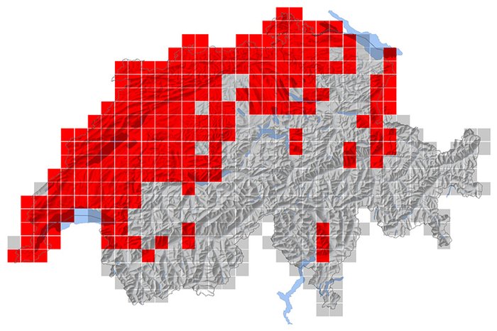 Répartition du Pigeon colombin en Suisse