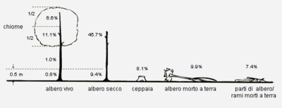 albero vivo, secco o morto