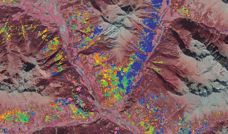 Orthofoto mit gefärbten Stellen, die Sturm- und Borkenkäferschäden anzeigen