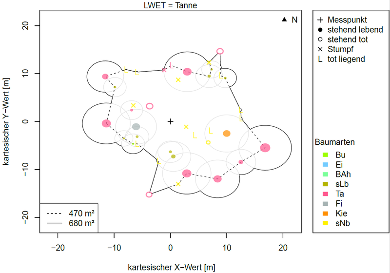Stammfußkarte einer Tannen-Habitatbaumgruppe. Von einem Messpunkt (+) aus wurden alle Bäume der Habitatbaumgruppe erfasst und eingemessen. Die Punktgröße spiegelt, um Faktor 2 überhöht, den BHD eines Baumes wider. Die Kronenschirmflächen (große Kreise mit grauem Rand) wurden für lebende Bäume artspezifisch mittels BHD aus Tabellenwerken abgeleitet.