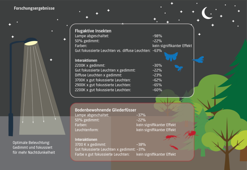 Versuchsaufbau und wichtigste Resultate des Projekts ALANeX der WSL