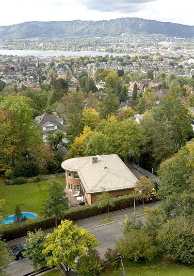 Baumbestand in der Stadt