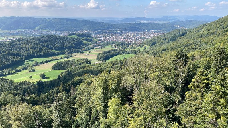 Blick von der Lägern (AG) auf das Schweizer Mittelland – eine der vielfältigen Waldlandschaften der Schweiz