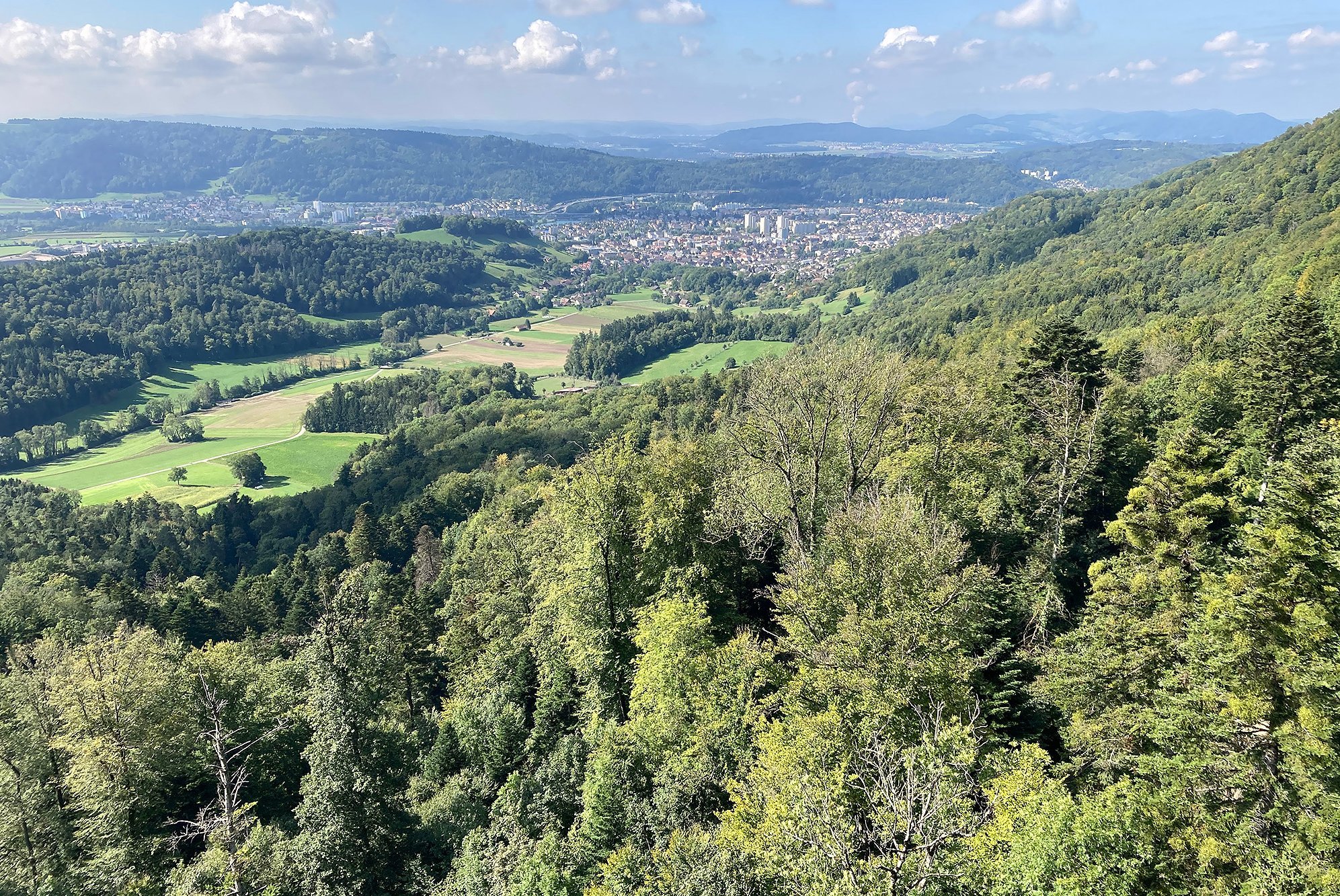 Blick von der Lägern (AG) auf das Schweizer Mittelland – eine der vielfältigen Waldlandschaften der Schweiz