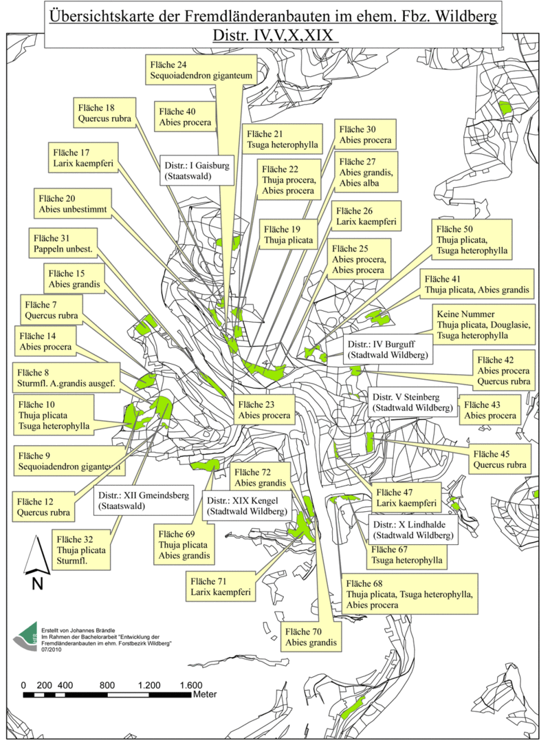 Übersichtskarte der Fremdländeranbauten im ehemaligen Forstbezirk Wildberg (Distr. IV, V, X, XIX)