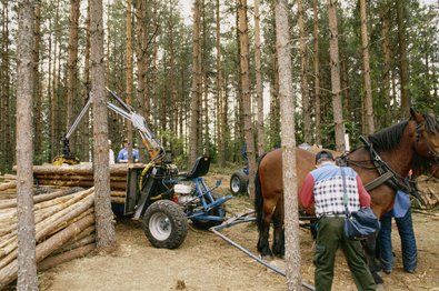 Dreiachs-Rückeanhänger für 2 Pferde