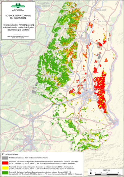 Öffentliche Waldflächen des Dép. Haut-Rhin (in ONF-Bewirtschaftung) mit Priorisierung der Anpassungsmaßnahmen entsprechend der Klimastabilität aktuell vorhandener Haupt- und Nebenbaumarten.