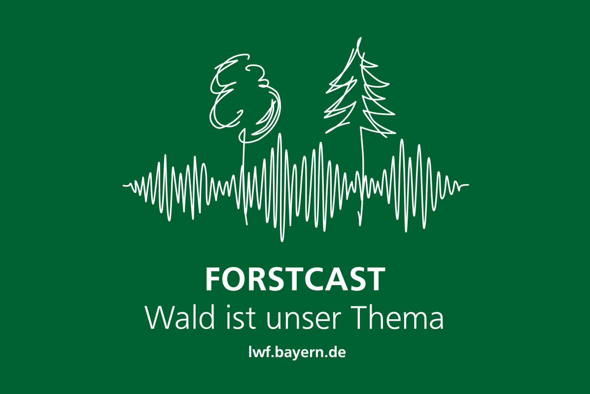 Forstcast-Logo