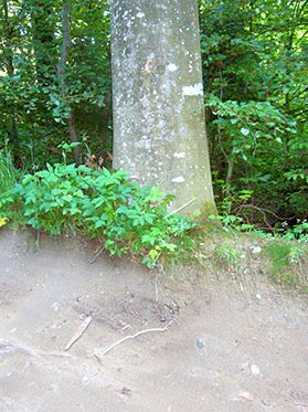 Biketrail Gurten