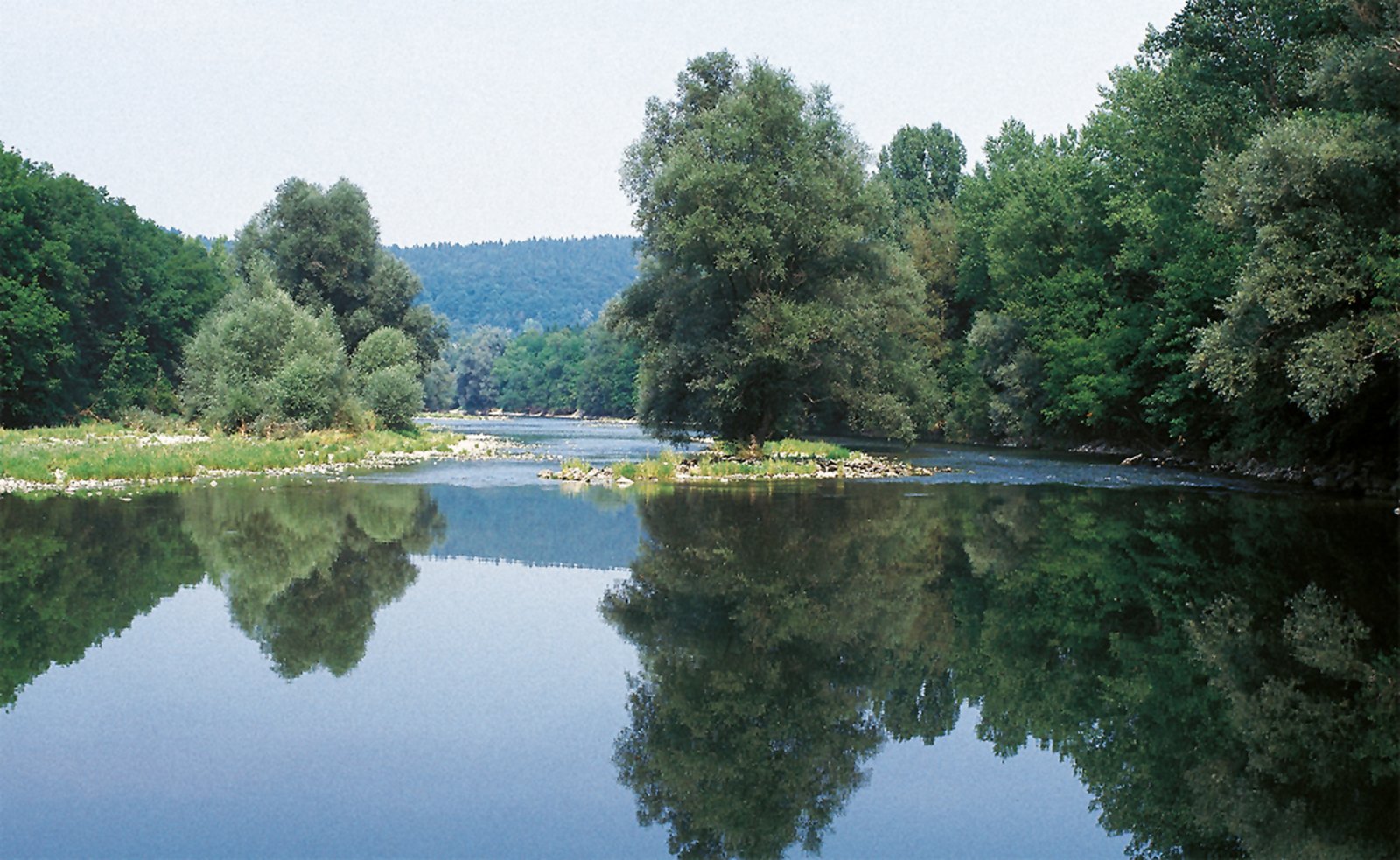 Die Auen der Schweiz