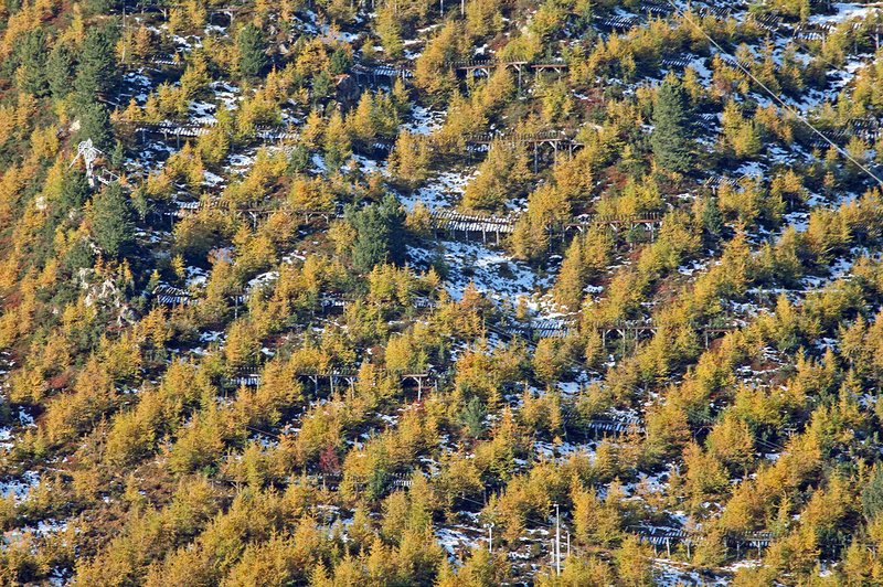 plantation schématique