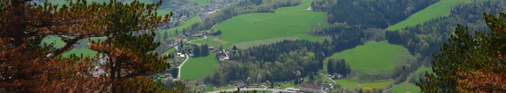 Verbrannte Bäume auf der Rax