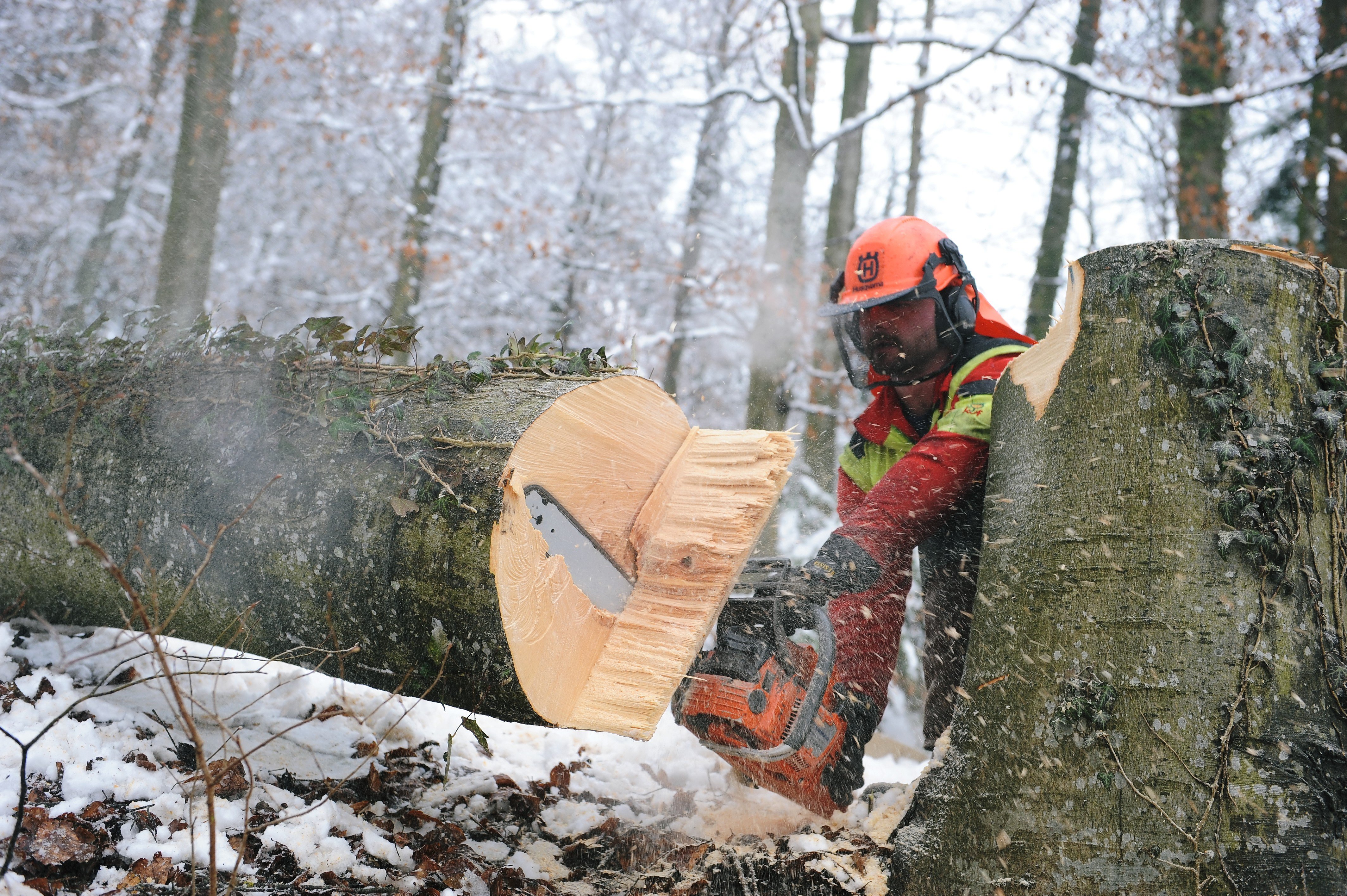 Notfallsituation bei Holzerntearbeiten – schnelle Rettung ist