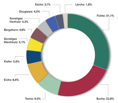 Abb. 2: Der Wald in Baden-Württemberg – Flächenanteile der Baumarten am Gesamtwald (Prozent)