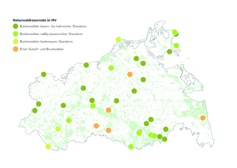 Verteilung der Naturwaldreservate (NWR) in Mecklenburg-Vorpommern