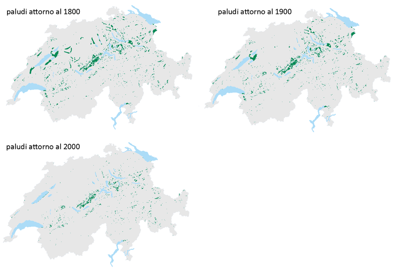  Evoluzione delle superfici delle paludi in Svizzera  tra l’anno 1800 ed il 2000